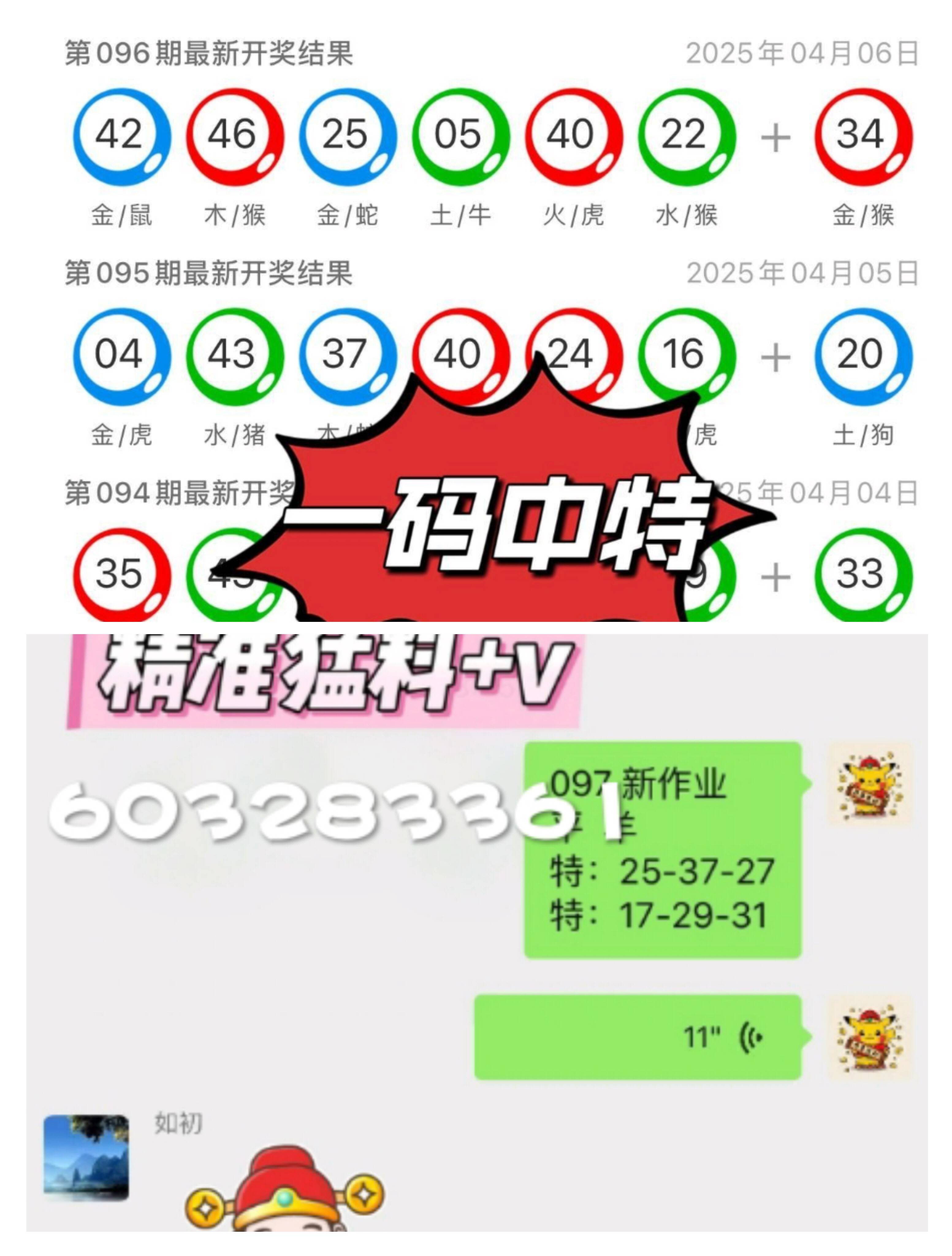 探索未來，2025新澳門九肖展望，2025新澳門九肖展望，探索未來之路