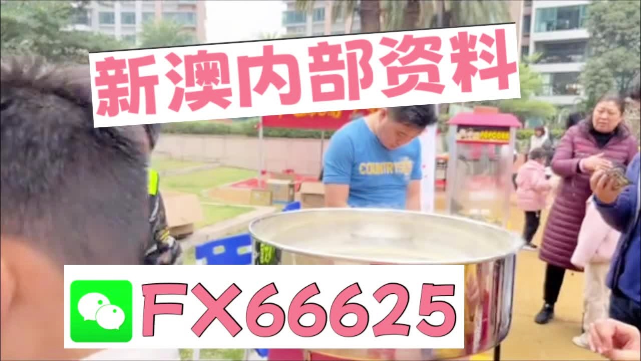 新奧2025正版資料大全，全面解析與深度探索，新奧2025正版資料大全，全面解析與深度探索揭秘