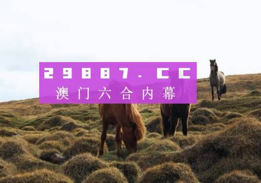 今晚澳門9點35分的彩票開獎，期待與驚喜交織的時刻，澳門今晚9點35分彩票開獎，期待與驚喜交匯的時刻