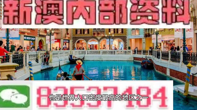 澳門王中王正版游戲，探索未來(lái)的新篇章（2025年展望），澳門王中王正版游戲，探索未來(lái)新篇章，展望2025年發(fā)展