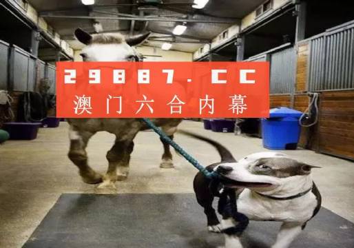 澳門一肖一碼一必中一肖，同舟前進的奧秘與策略，澳門一肖一碼必中策略與前進奧秘，同舟共濟的揭秘與策略