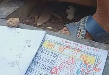 香港中特期期準資料，深度解析與探索，香港中特期期準資料深度解析與探索報告
