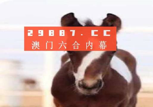 澳門一肖一碼狀元紅，揭秘彩票背后的秘密與策略，澳門彩票揭秘，狀元紅背后的秘密與策略解析