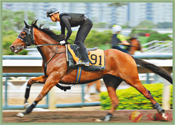 香港賽馬，探索數(shù)字背后的激情與榮耀，香港賽馬，數(shù)字背后的激情與榮耀之旅