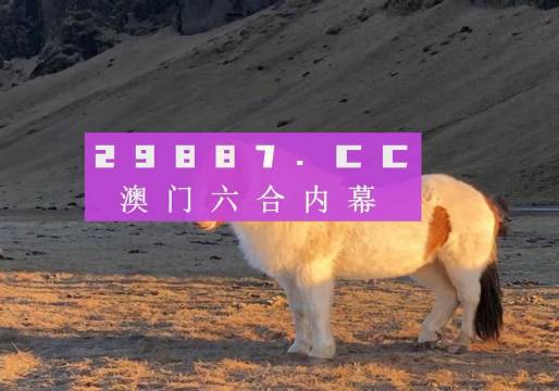 澳門(mén)天天彩資料正版免費(fèi)特色快8，探索彩票世界的魅力與機(jī)遇，澳門(mén)天天彩正版特色快8，彩票世界的魅力與機(jī)遇探索