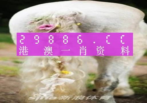 澳門羊了個羊與各大圖庫的資料揭秘，2023年澳門今晚必中一肖一碼永久免費資料庫大解密，澳門羊了個羊與資料庫揭秘，2023年必中一肖一碼永久免費資料大解密