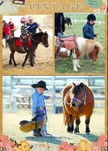 揭秘今晚澳門特馬開彩結果，四不像彩種深度解析，澳門特馬開彩結果揭秘，四不像彩種深度解析與預測