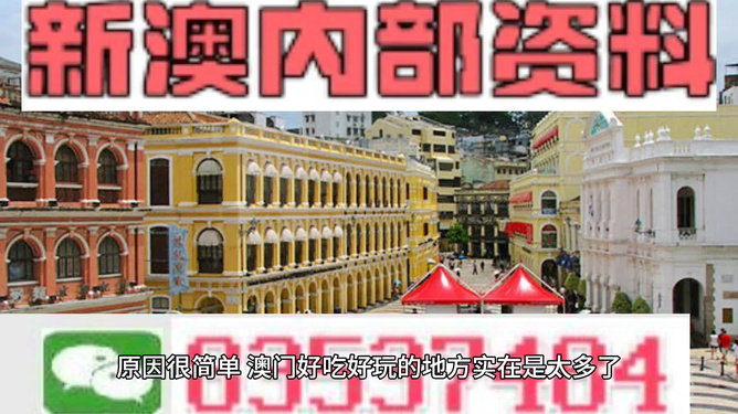 澳門精準(zhǔn)資料大全免費(fèi)，探索與解析，澳門精準(zhǔn)資料大全免費(fèi)解析探索