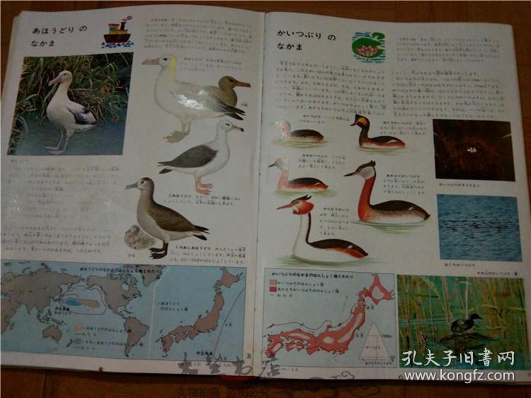 今日正版跑狗圖分享，探索7777788888跑狗圖的魅力，今日正版跑狗圖分享，探索魅力十足的777778跑狗圖