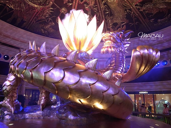 澳門無(wú)錯(cuò)七尾，探索與解析，澳門無(wú)錯(cuò)七尾，深度探索與解析