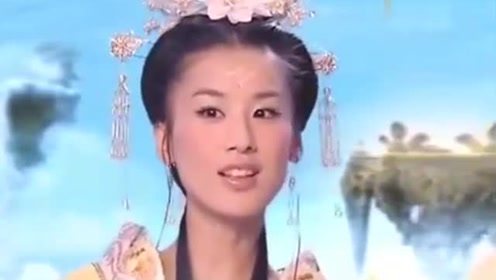曾道道人資料免費(fèi)大全，深度探索與解析，曾道道人資料深度解析與免費(fèi)大全探索