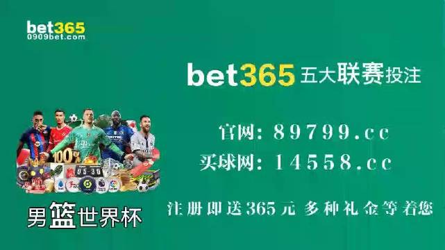 王中王中特馬王中王精準資料解析與SEO優(yōu)化策略探討，王中王中特馬精準資料解析與SEO策略探討