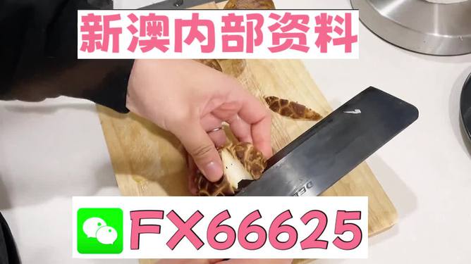 澳門九點(diǎn)半9點(diǎn)半網(wǎng)站——探索其魅力與優(yōu)勢(shì)，澳門九點(diǎn)半網(wǎng)站，魅力與優(yōu)勢(shì)探索