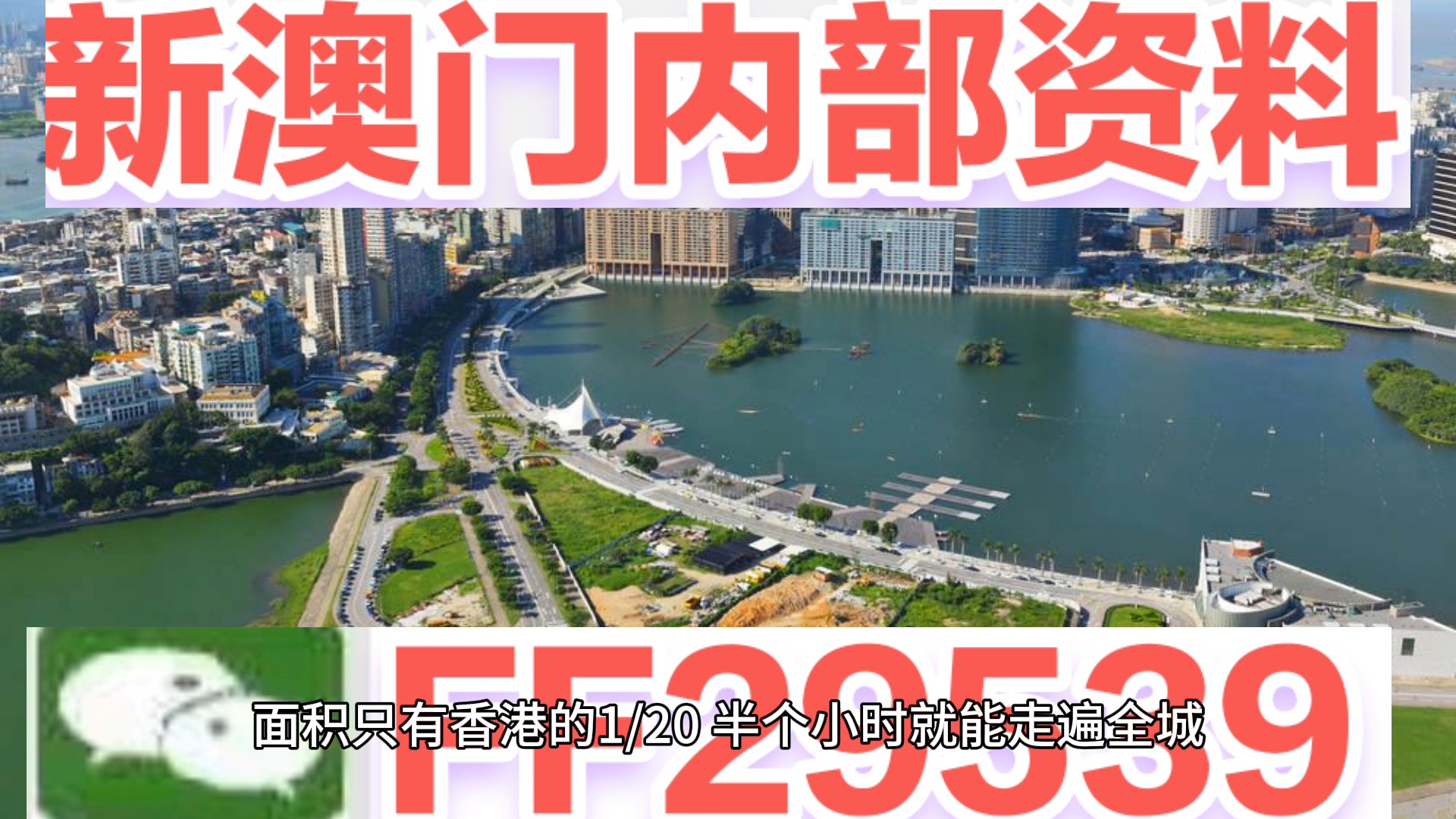 澳門特碼，探索其背后的秘密與魅力，澳門特碼背后的秘密與魅力探索