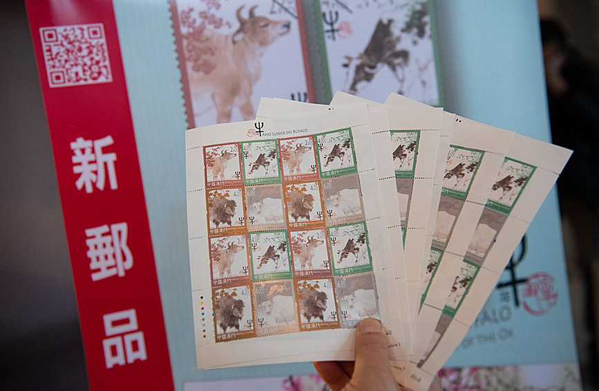 澳門值日生肖600圖庫與八百圖庫開獎，探索生肖圖庫的魅力與奧秘，澳門生肖圖庫開獎揭秘，探索值日生肖600圖庫與八百圖庫的魅力與奧秘