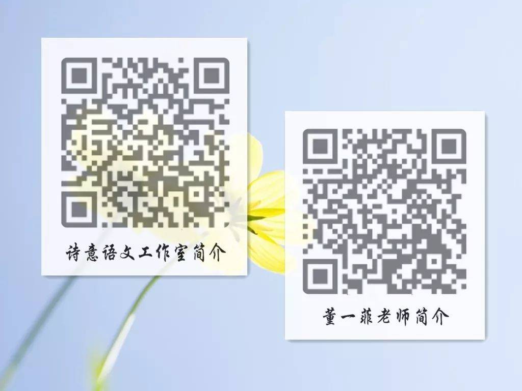 一碼一肖一特一，揭秘背后的秘密與獨特之處，揭秘一碼一肖一特一的獨特之處與背后秘密