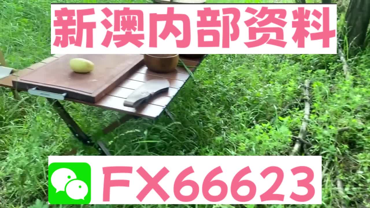 新奧特碼走勢(shì)圖解析與預(yù)測(cè)，新奧特碼走勢(shì)圖解析與預(yù)測(cè)，未來(lái)趨勢(shì)探討