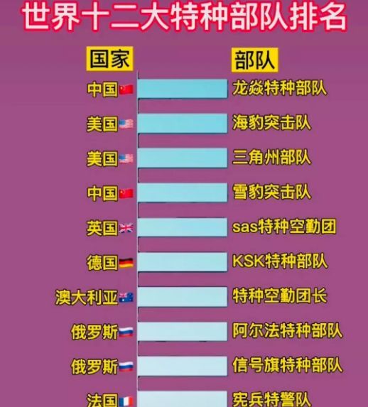 中國(guó)十大王牌特種部隊(duì)，實(shí)力與榮耀的象征，中國(guó)十大王牌特種部隊(duì)，實(shí)力與榮耀的巔峰標(biāo)志