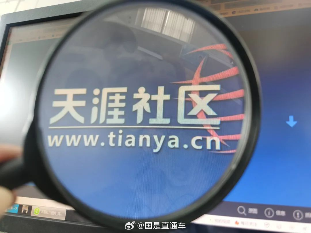 天涯國際觀察，全球視野下的深度分析與洞察，全球深度洞察，天涯國際觀察分析