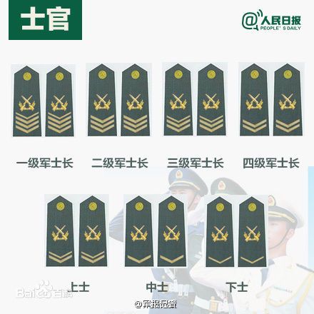 全球各國(guó)軍士長(zhǎng)軍銜對(duì)照表及其重要性，全球各國(guó)軍士長(zhǎng)軍銜對(duì)照表，揭示其重要性