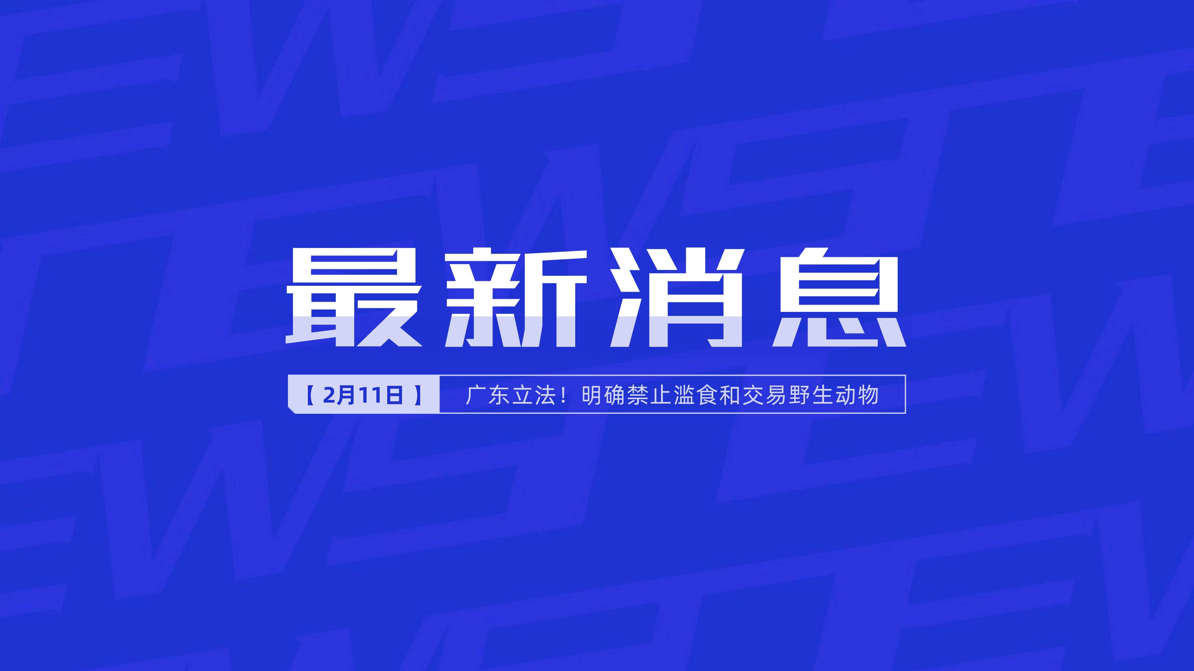 新聞最新新聞，掌握時(shí)事熱點(diǎn)，洞悉世界動態(tài)，時(shí)事熱點(diǎn)速遞，掌握全球最新動態(tài)新聞