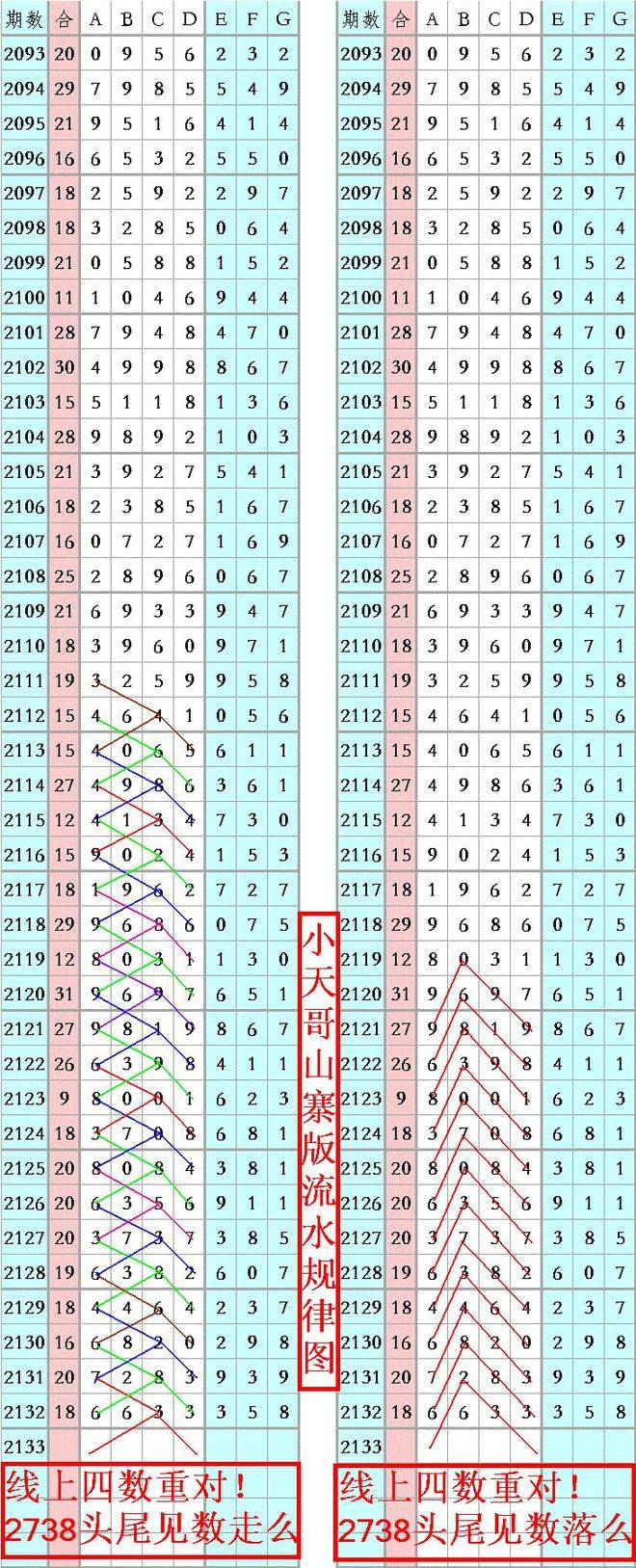 王中王四肖八碼必中秘籍與技巧探索，王中王四肖八碼必中秘籍揭秘與技巧探索
