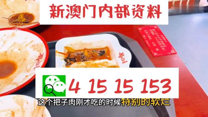澳門王中王六碼新澳門，探索與解析，澳門王中王六碼新澳門，深度探索與解析