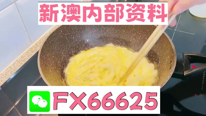 澳門九點(diǎn)半9點(diǎn)半網(wǎng)站——探索與體驗(yàn)，澳門九點(diǎn)半網(wǎng)站，探索與體驗(yàn)之旅