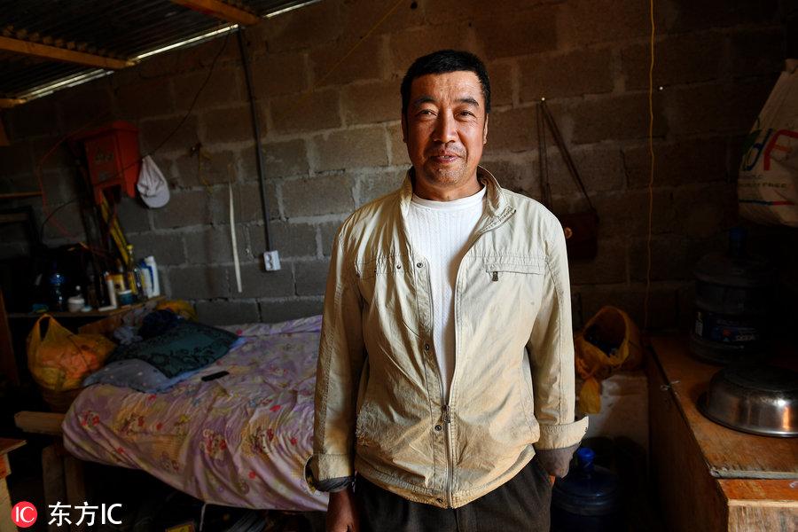 博科圣地組織，深度解析與理解，博科圣地組織深度解析與探究