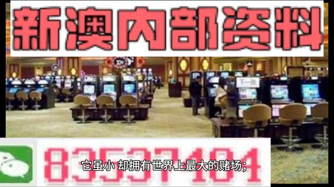 新澳門最精準——探索澳門的精準旅游體驗，澳門精準旅游探索，深度體驗澳門的獨特魅力