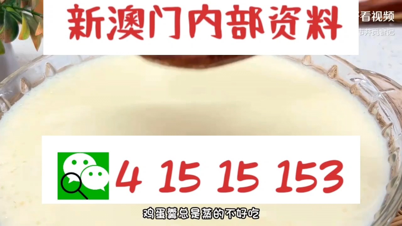 新澳門中特網(wǎng)中特馬，探索與解析，澳門中特馬探索與解析指南