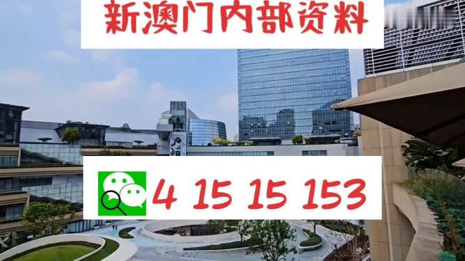 新澳門單雙，探索數(shù)字世界的奧秘與魅力，澳門數(shù)字世界的奧秘與魅力探索，單雙數(shù)的奇幻之旅