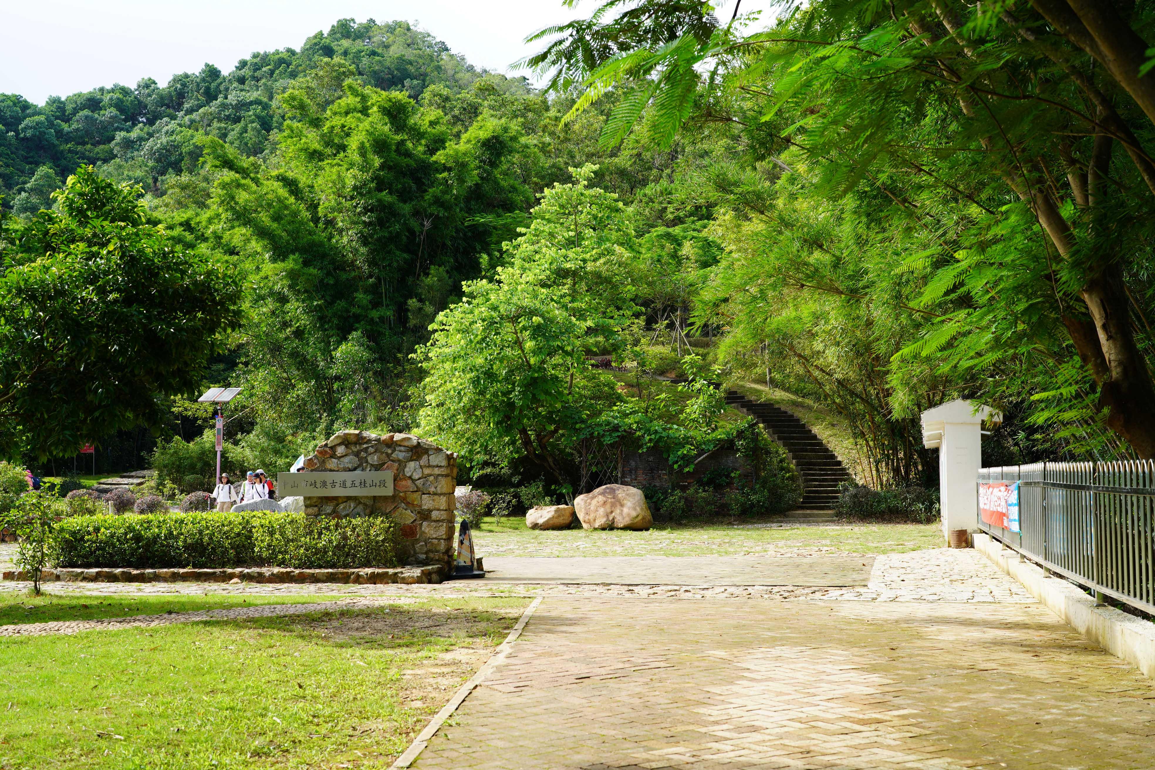 新澳門波色走勢(shì)圖表大全，深度解析與預(yù)測(cè)，澳門波色走勢(shì)圖表解析與預(yù)測(cè)大全