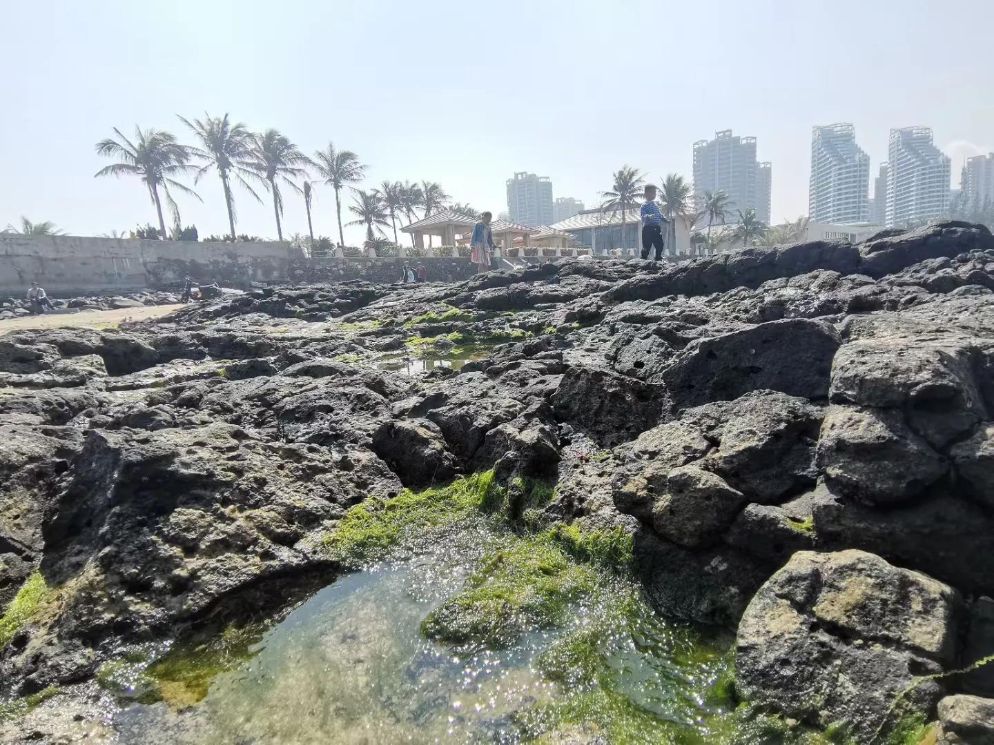 解放海南島電視劇全集下載，探尋30集完整劇情，解放海南島電視劇全集下載，探尋完整的30集劇情探索