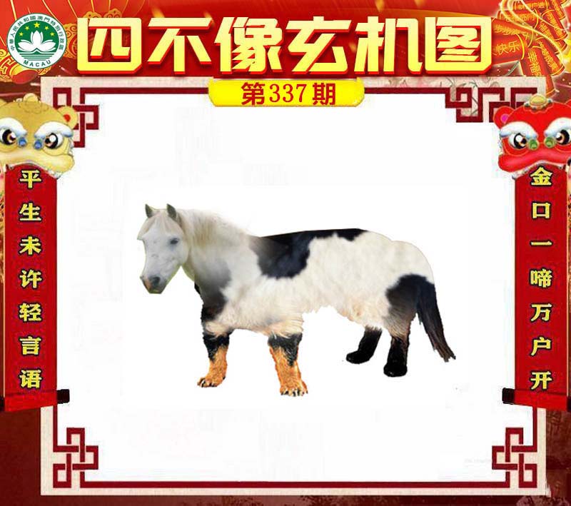 王中王四不像肖一肖中特，探索神秘現(xiàn)象背后的真相，神秘現(xiàn)象背后的真相探索，王中王四不像肖一肖中特揭秘