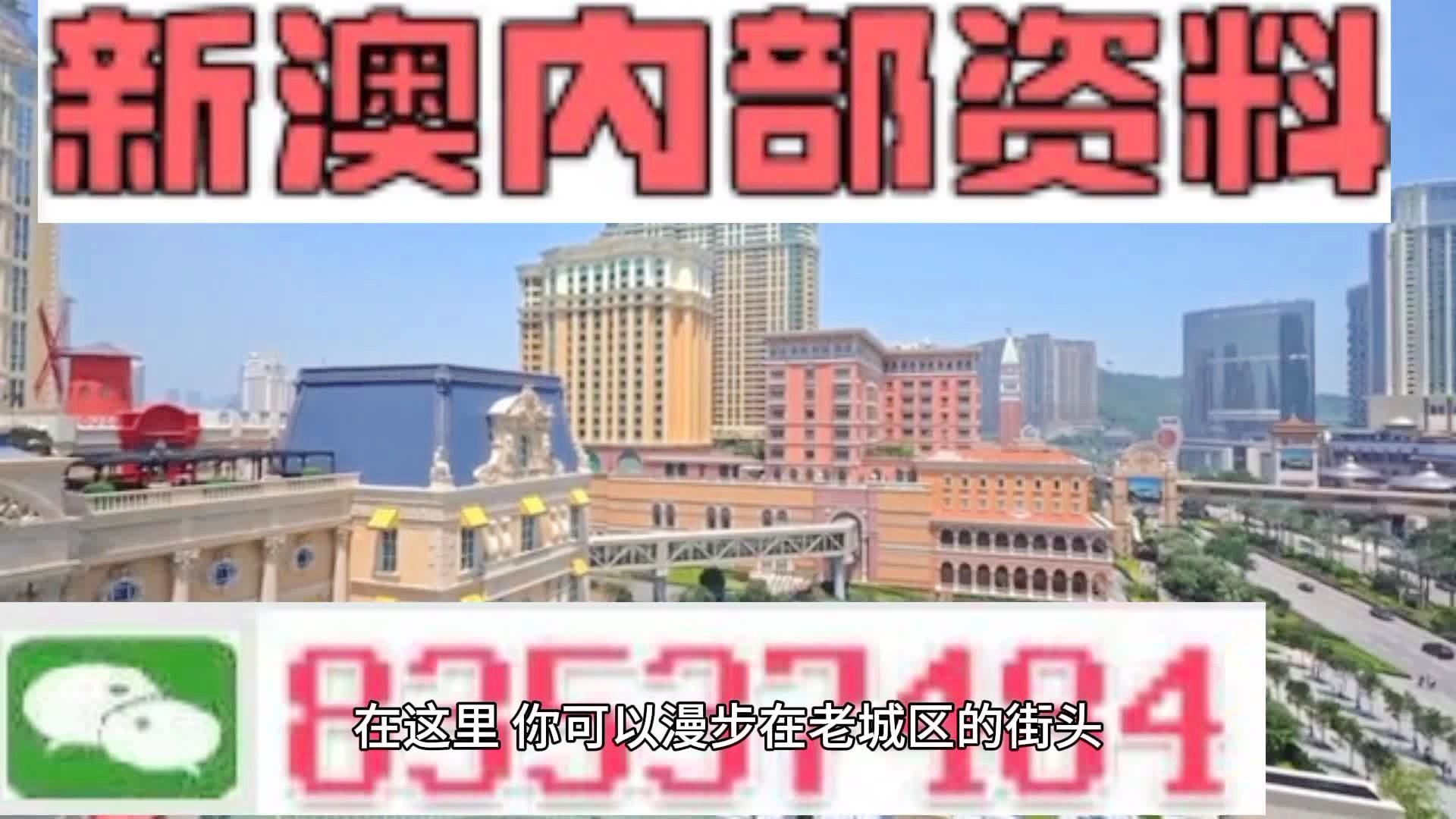 新澳門期期準(zhǔn)精準(zhǔn)，探索澳門的未來與SEO策略，澳門未來展望與SEO策略探索，精準(zhǔn)瞄準(zhǔn)新機遇