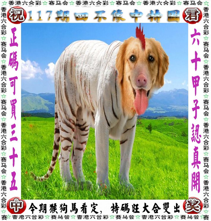 王中王四不像一肖論壇，探索神秘論壇的世界，王中王四不像一肖論壇，神秘論壇世界的探索之旅