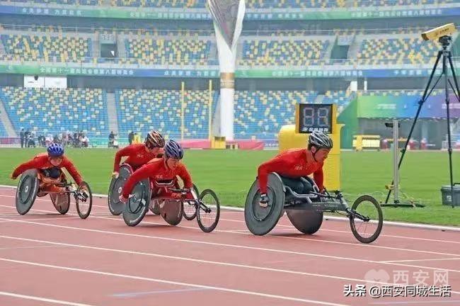 2025年澳門精準(zhǔn)免費大全——全面解析澳門未來展望與特色體驗，澳門未來展望與特色體驗解析，澳門精準(zhǔn)免費大全（2025版）