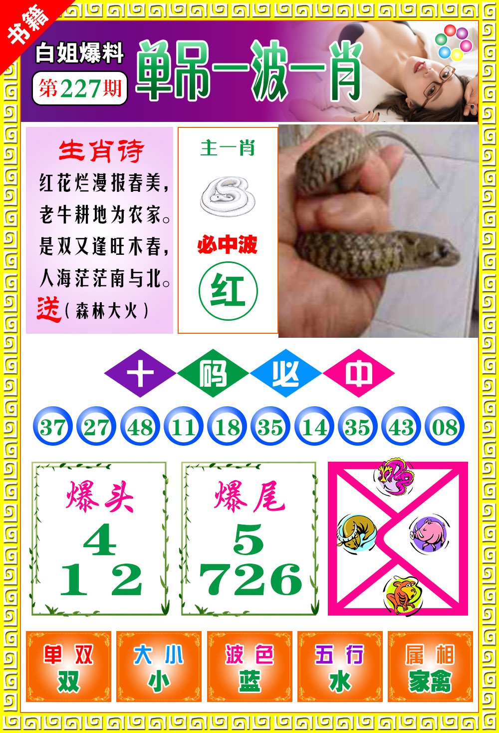 王中王100期期一肖，深度解析與SEO優(yōu)化策略，王中王100期期一肖深度解析與SEO策略全解析