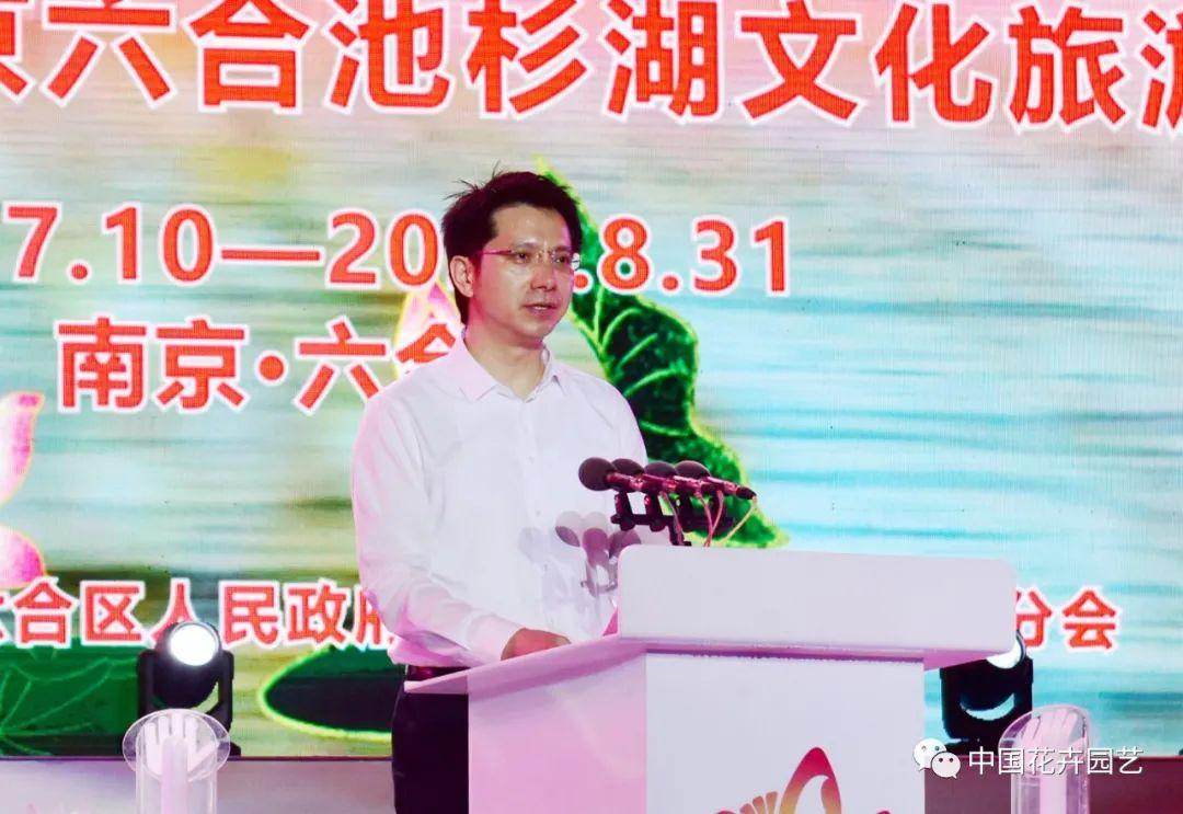 澳門六和開獎結(jié)果第54期，深度分析與預(yù)測，澳門六和開獎結(jié)果第54期深度分析與預(yù)測報告