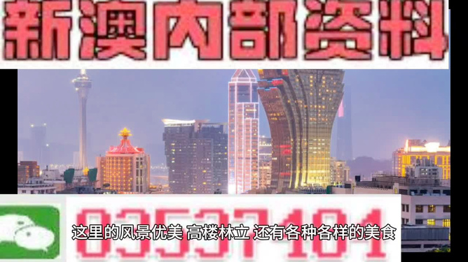 澳門精準的資料大全，探索與發(fā)現(xiàn)，澳門精準資料大全，探索未知的寶藏