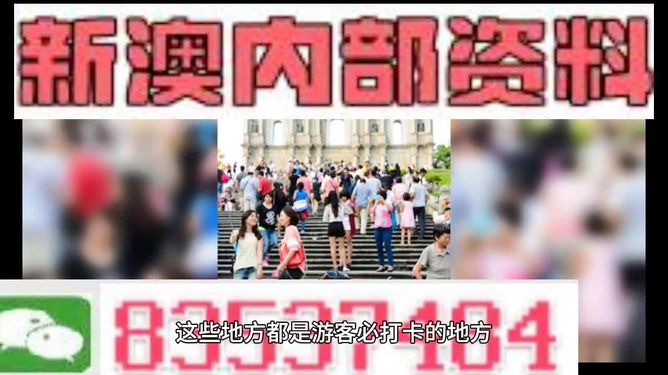 新澳106期資料詳解與探索，新澳106期資料深度解析與探索