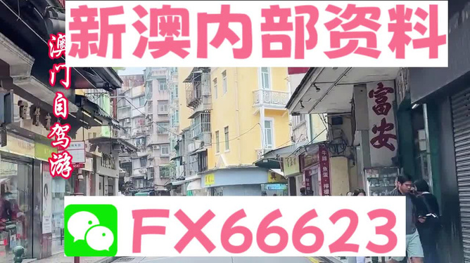 新澳精準(zhǔn)資料免費提供，探索與解析，新澳精準(zhǔn)資料解析與探索，免費提供的深度解讀