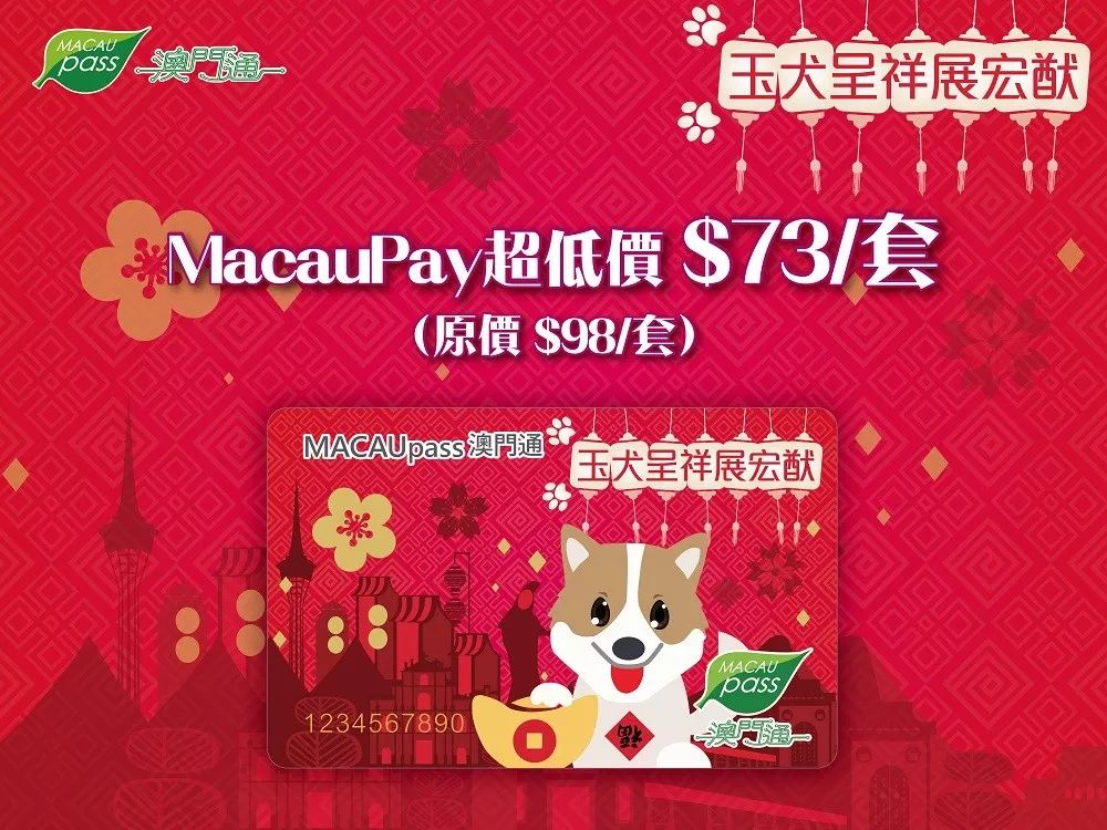 澳門生肖卡，探索未來的趨勢與機(jī)遇（2025年展望），澳門生肖卡，未來趨勢與機(jī)遇展望（2025年）