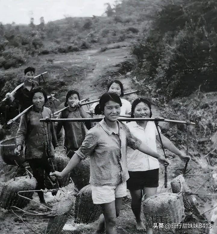 關(guān)于49圖庫圖片資料的專業(yè)解析與探索，49圖庫圖片資料深度解析與探索