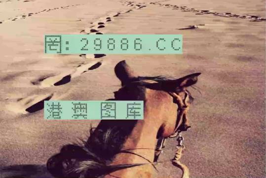 香港特馬資料王中王24期，深度解析與探索，香港特馬資料王中王深度解析與探索，第24期探索之旅