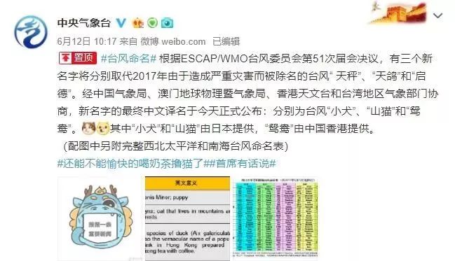 新澳門必中三肖三碼三期必開劉伯，揭秘彩票背后的秘密與策略，揭秘彩票背后的秘密與策略，劉伯的新澳門三期必開三肖三碼預(yù)測(cè)技巧