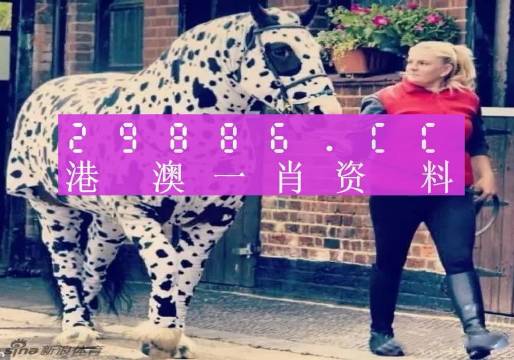 香港網(wǎng)址王中王一肖中特，探索與解析，香港網(wǎng)址王中王一肖中特，深度探索與解析