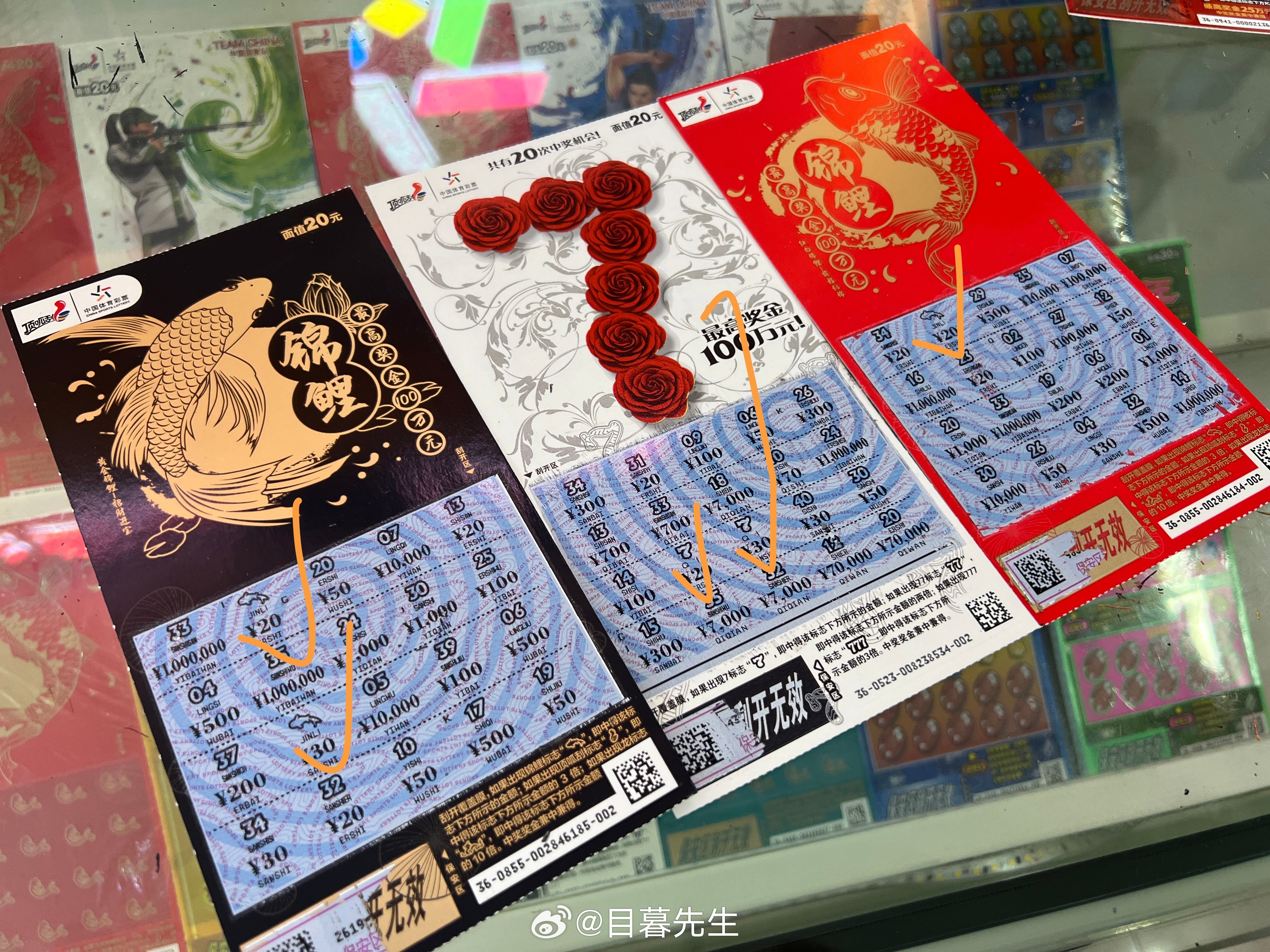 全年王中王一肖中特，深度解析與預(yù)測(cè)，全年王中王一肖深度解析與預(yù)測(cè)，揭秘特肖趨勢(shì)