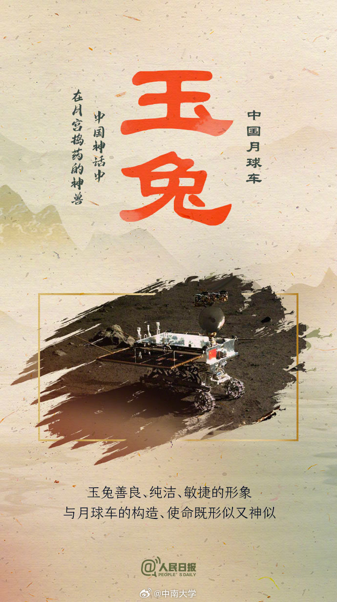 揭秘王中王平特一肖免會公開的奧秘，王中王平特一肖免公開揭秘奧秘